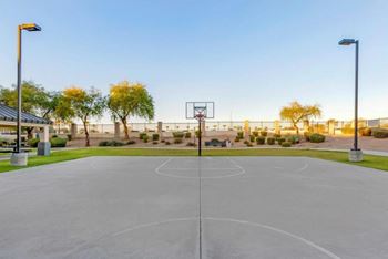 A basketball court is surrounded by trees and has a basketball hoop in the middle